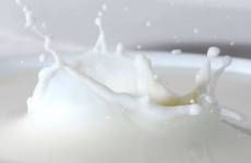 Separatoren für die Verarbeitung von Milch und Molke