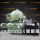 OSA 20-0136-066 GEA Westfalia Separator Tellerseparatoren selbstaustragend - Original kann u. U. abweichen.