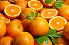 Klär-Separatoren für Frucht- und Gemüsesäfte